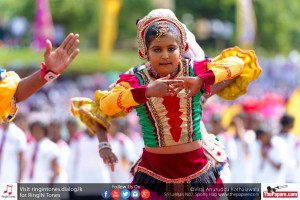 12039132_10154299770504251_3982034541802964220_o